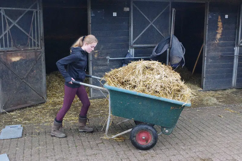 I&A onderzoekt fysieke belasting bij werkzaamheden in paardenstallen op een manege.