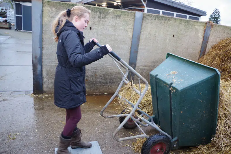 I&A-observatie van fysieke belasting in dagelijkse werkzaamheden op een manege.